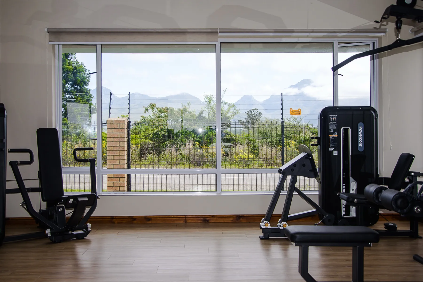 Cardio bikes by the window